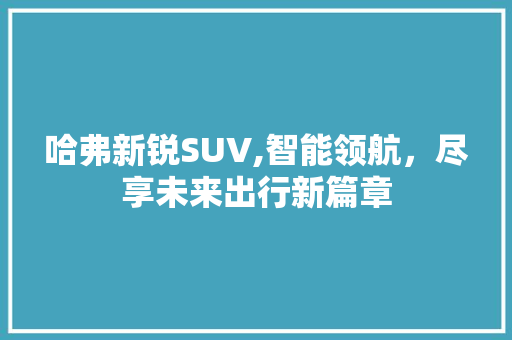 哈弗新锐SUV,智能领航，尽享未来出行新篇章