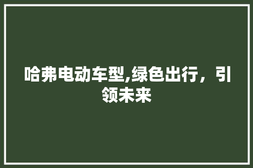 哈弗电动车型,绿色出行，引领未来