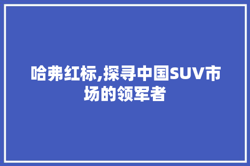 哈弗红标,探寻中国SUV市场的领军者