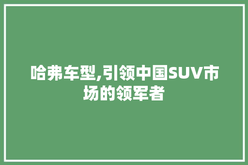 哈弗车型,引领中国SUV市场的领军者 变速箱配件