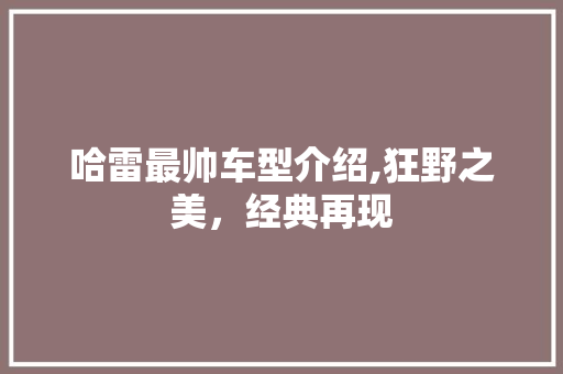 哈雷最帅车型介绍,狂野之美，经典再现