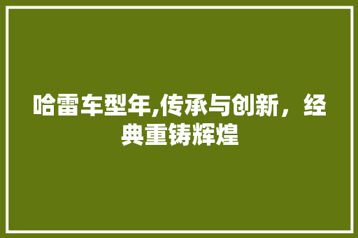 哈雷车型年,传承与创新，经典重铸辉煌