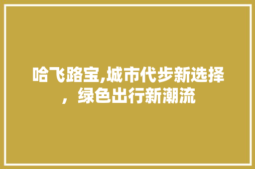 哈飞路宝,城市代步新选择，绿色出行新潮流