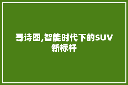 哥诗图,智能时代下的SUV新标杆