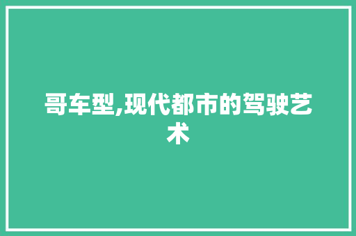 哥车型,现代都市的驾驶艺术 发动机配件