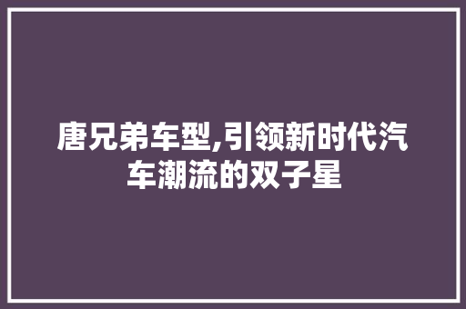 唐兄弟车型,引领新时代汽车潮流的双子星