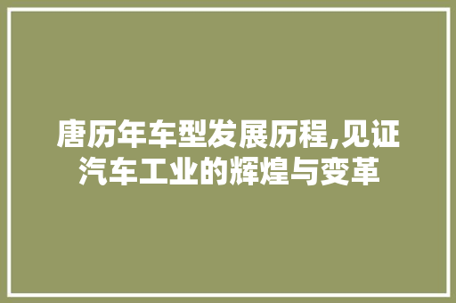 唐历年车型发展历程,见证汽车工业的辉煌与变革 蓄电池配件