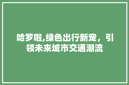 哈罗啦,绿色出行新宠，引领未来城市交通潮流
