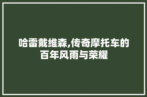 哈雷戴维森,传奇摩托车的百年风雨与荣耀