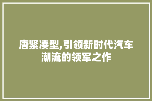 唐紧凑型,引领新时代汽车潮流的领军之作