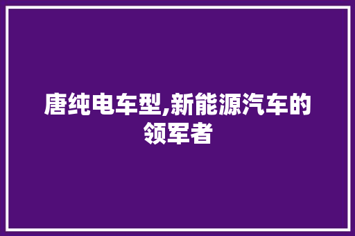 唐纯电车型,新能源汽车的领军者