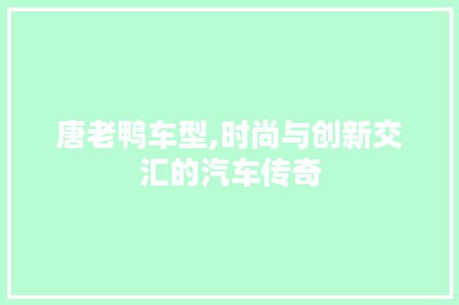 唐老鸭车型,时尚与创新交汇的汽车传奇