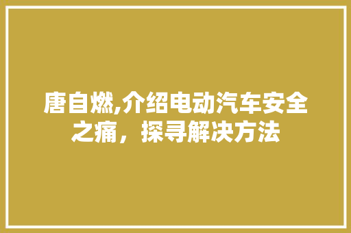 唐自燃,介绍电动汽车安全之痛，探寻解决方法