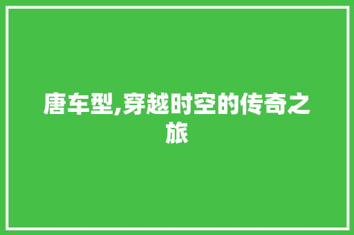 唐车型,穿越时空的传奇之旅