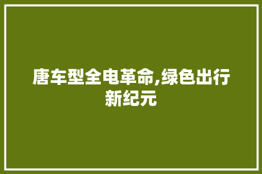 唐车型全电革命,绿色出行新纪元