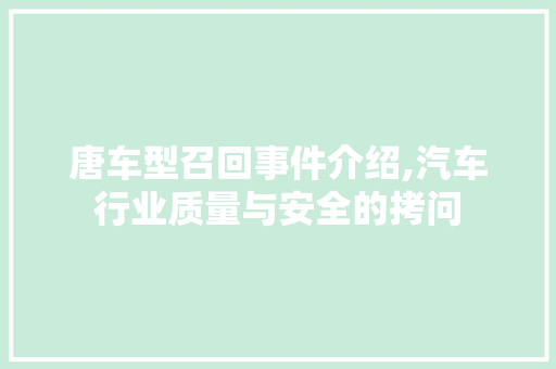 唐车型召回事件介绍,汽车行业质量与安全的拷问