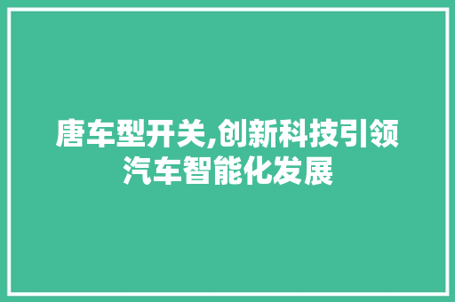 唐车型开关,创新科技引领汽车智能化发展