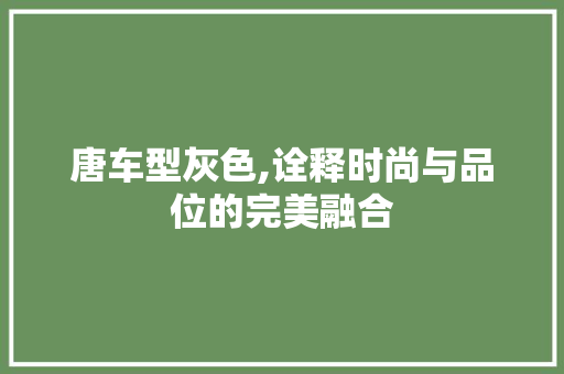 唐车型灰色,诠释时尚与品位的完美融合