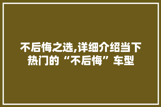 不后悔之选,详细介绍当下热门的“不后悔”车型 汽车配件