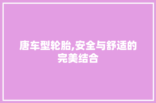 唐车型轮胎,安全与舒适的完美结合