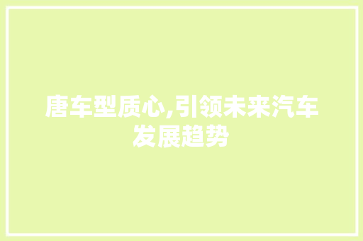 唐车型质心,引领未来汽车发展趋势
