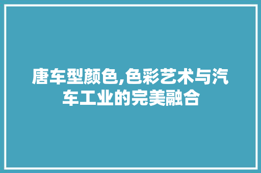 唐车型颜色,色彩艺术与汽车工业的完美融合