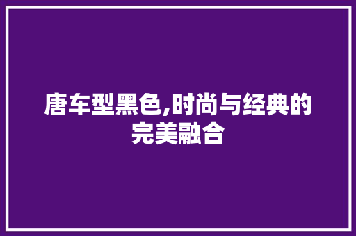 唐车型黑色,时尚与经典的完美融合
