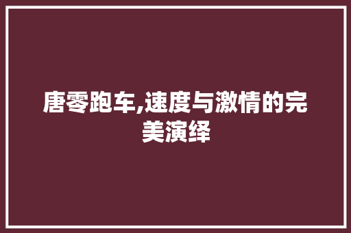 唐零跑车,速度与激情的完美演绎
