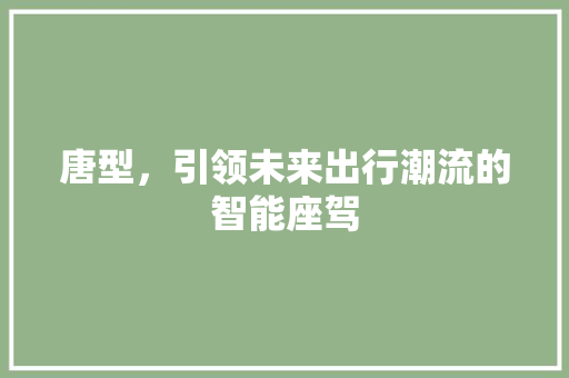 唐型，引领未来出行潮流的智能座驾