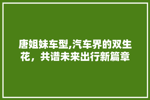 唐姐妹车型,汽车界的双生花，共谱未来出行新篇章 新能源汽车