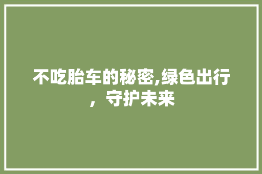 不吃胎车的秘密,绿色出行，守护未来 车灯配件
