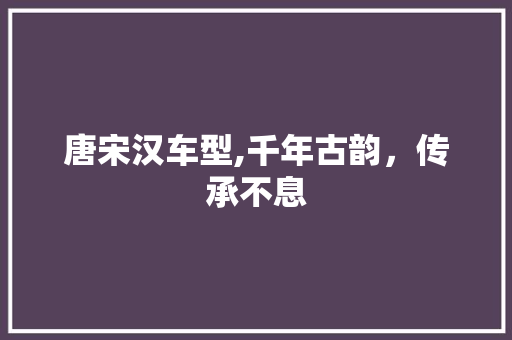 唐宋汉车型,千年古韵，传承不息 车灯配件