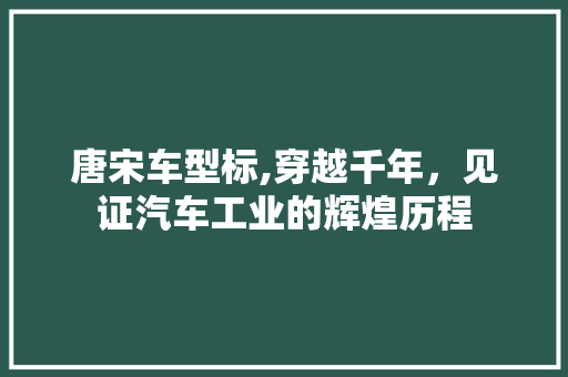 唐宋车型标,穿越千年，见证汽车工业的辉煌历程