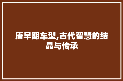 唐早期车型,古代智慧的结晶与传承