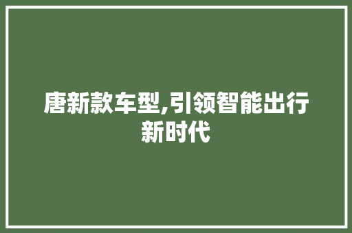 唐新款车型,引领智能出行新时代 新款车型