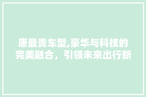 唐最贵车型,豪华与科技的完美融合，引领未来出行新潮流