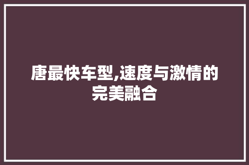唐最快车型,速度与激情的完美融合