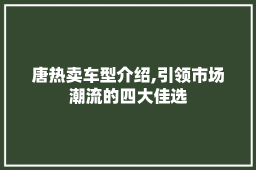 唐热卖车型介绍,引领市场潮流的四大佳选