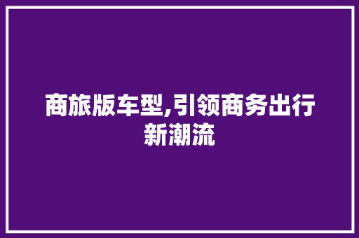 商旅版车型,引领商务出行新潮流