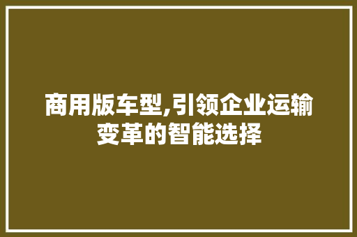 商用版车型,引领企业运输变革的智能选择