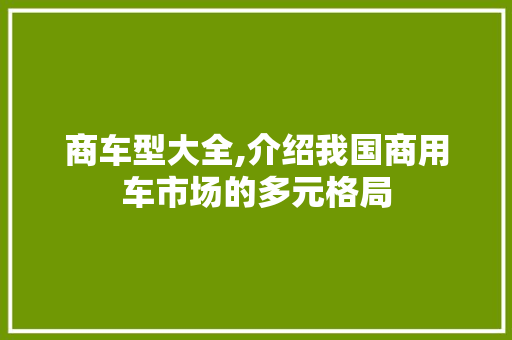 商车型大全,介绍我国商用车市场的多元格局