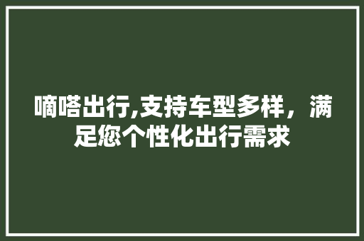 嘀嗒出行,支持车型多样，满足您个性化出行需求