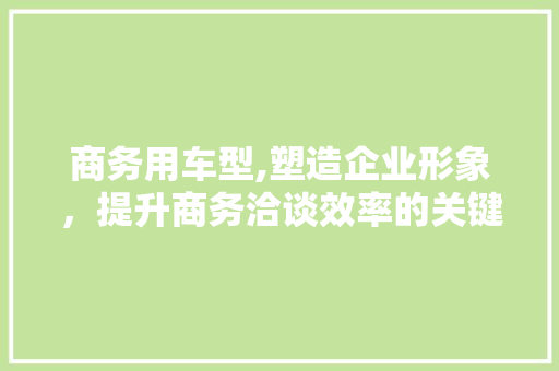 商务用车型,塑造企业形象，提升商务洽谈效率的关键