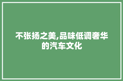 不张扬之美,品味低调奢华的汽车文化 车身配件