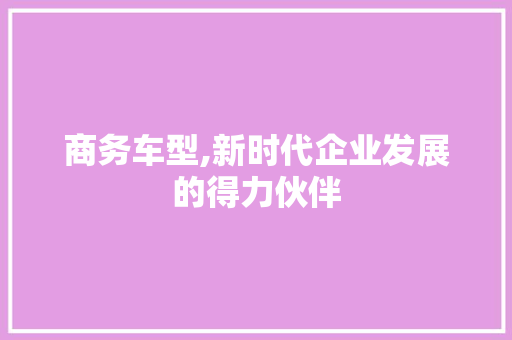 商务车型,新时代企业发展的得力伙伴