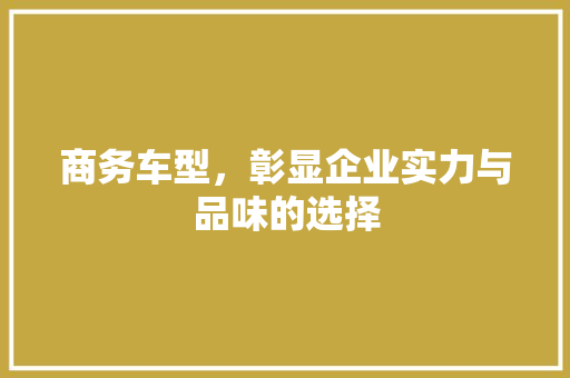商务车型，彰显企业实力与品味的选择