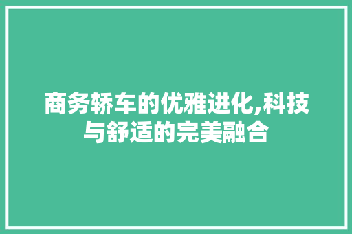 商务轿车的优雅进化,科技与舒适的完美融合 蓄电池配件