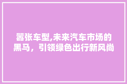 嚣张车型,未来汽车市场的黑马，引领绿色出行新风尚