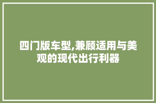 四门版车型,兼顾适用与美观的现代出行利器