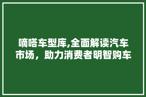 嘀嗒车型库,全面解读汽车市场，助力消费者明智购车 变速箱配件
